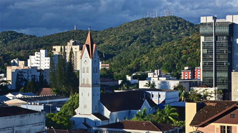 cheap car rentals joinville